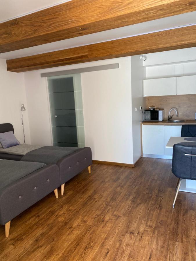 Maximo Apartments - Free Parking Maribor Exterior foto